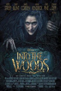 دانلود فیلم Into the Woods 20143675-127341322