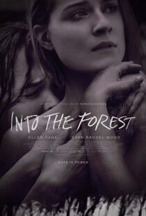 دانلود فیلم Into the Forest 20159776-1764297450