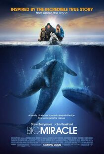 دانلود فیلم Big Miracle 201218814-357796824