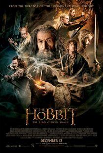 دانلود فیلم The Hobbit: The Desolation of Smaug 2013196262-542871461