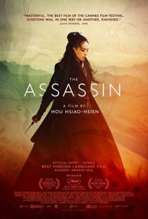 دانلود فیلم The Assassin 201513760-294887245