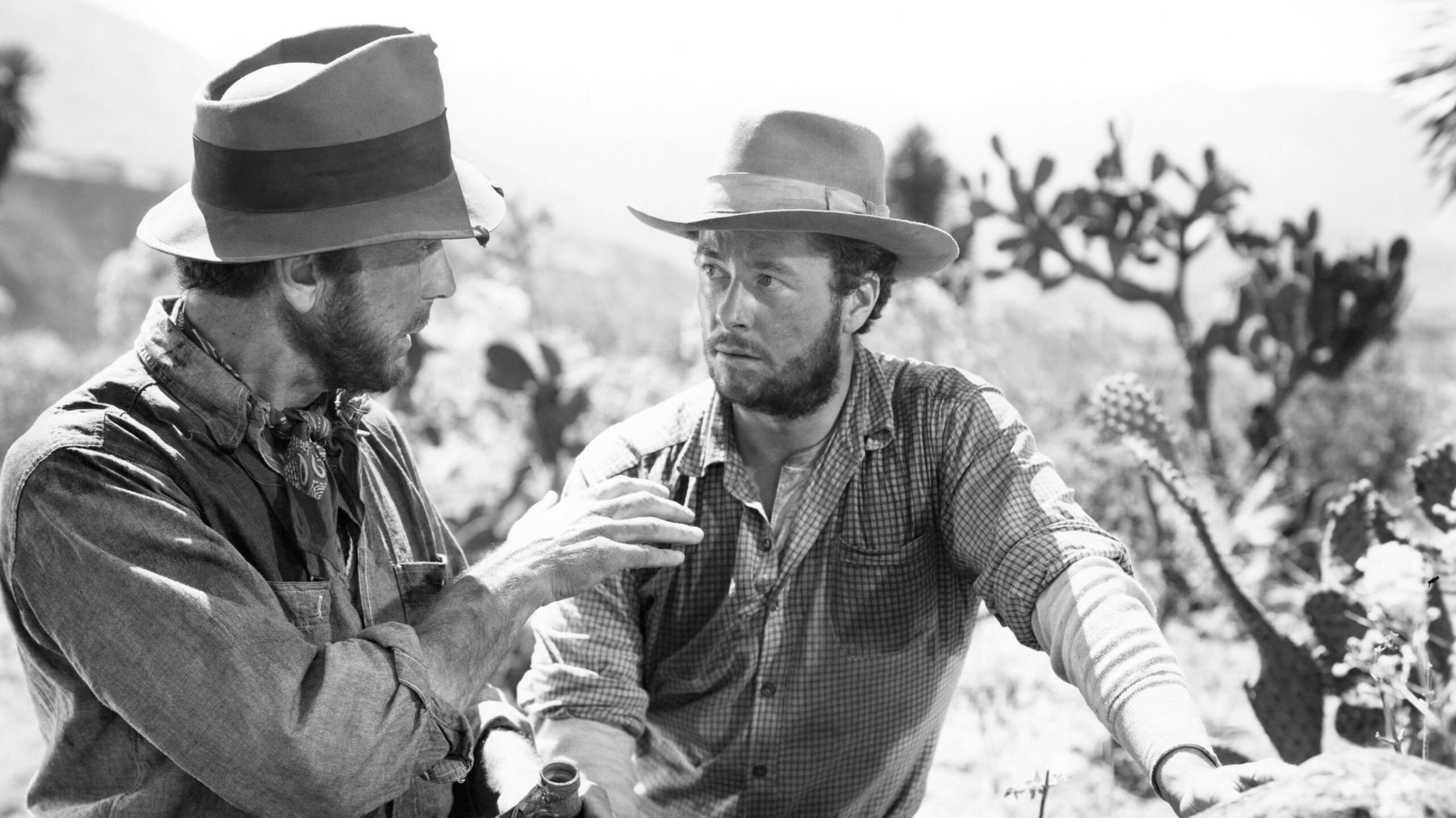 دانلود فیلم The Treasure of the Sierra Madre 1948