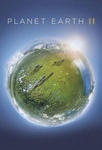 دانلود مستند Planet Earth II58204-1585012524