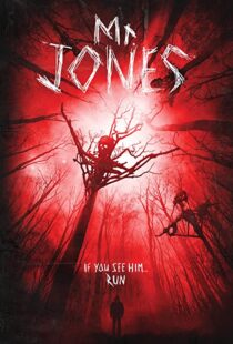 دانلود فیلم Mr. Jones 201337611-225753489