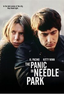 دانلود فیلم The Panic in Needle Park 197150558-1723550849