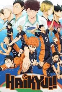 دانلود انیمه Haikyu!!80601-493769754