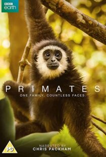 دانلود مستند Primates77865-214814254