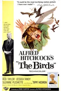 دانلود فیلم The Birds 196382372-1691358199