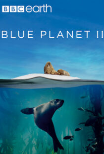 دانلود مستند Blue Planet II100194-1548099053