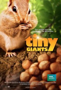 دانلود مستند Tiny Giants 3D 2014109664-1693993199