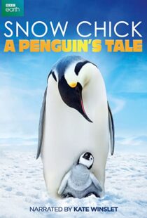 دانلود مستند Snow Chick: A Penguin’s Tale 2015109604-15787169