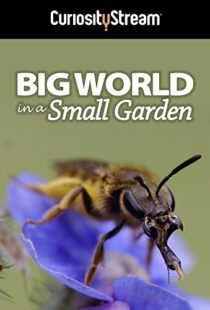 دانلود مستند Big World in a Small Garden 2016102965-1213034626