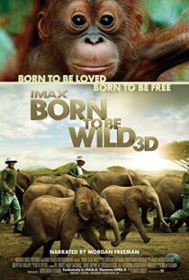 دانلود مستند Born to Be Wild 2011110503-153075236