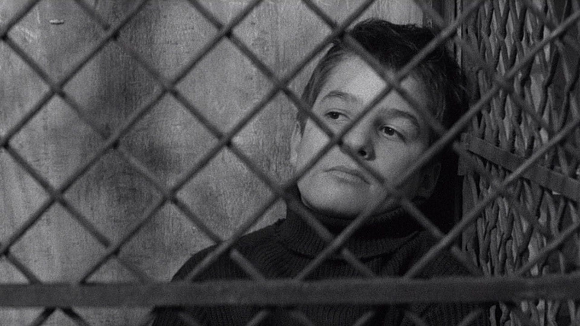 دانلود فیلم The 400 Blows 1959