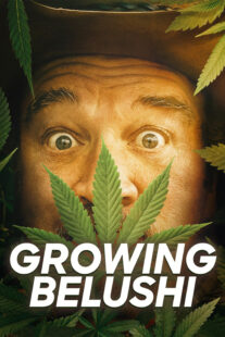 دانلود سریال Growing Belushi400424-1523902319