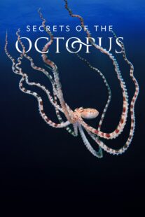 دانلود سریال Secrets of the Octopus401286-138946979