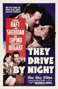 دانلود فیلم They Drive by Night 1940411221-1789633994