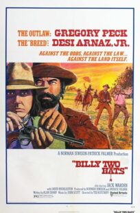 دانلود فیلم Billy Two Hats 1974411057-1884237372