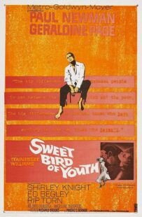 دانلود فیلم Sweet Bird of Youth 1962415738-337012508