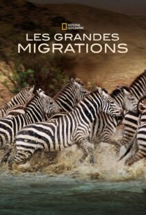 دانلود مستند Great Migrations417146-1651960193