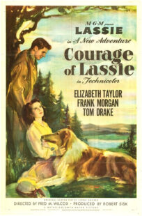 دانلود فیلم Courage of Lassie 1946417427-1040021758