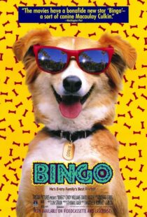 دانلود فیلم Bingo 1991417459-737023591