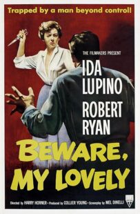 دانلود فیلم Beware, My Lovely 1952420627-48982827