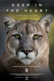 دانلود مستند Deep in the Heart: A Texas Wildlife Story 2022421545-1218375596