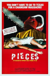 دانلود فیلم Pieces 1982422164-1526229763