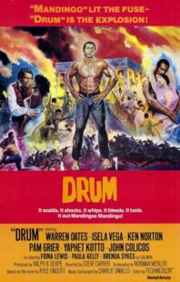 دانلود فیلم Drum 1976423508-1002899795