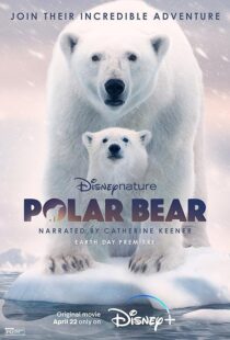 دانلود مستند Polar Bear 2022422974-276545580